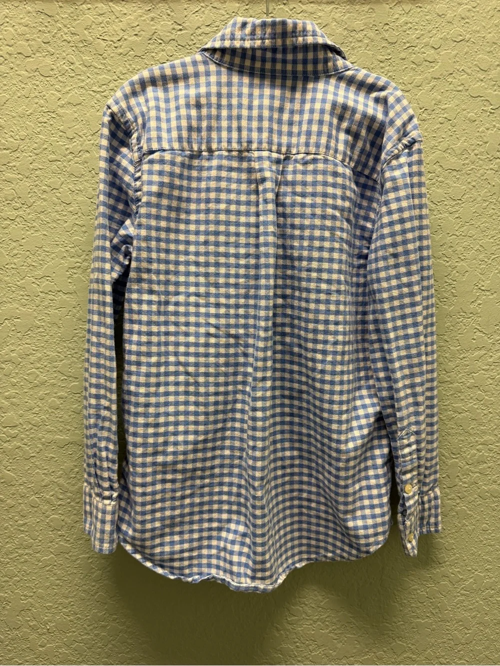 Ralph Lauren Blue and White Gingham Button-Down Shirt with Green Pony